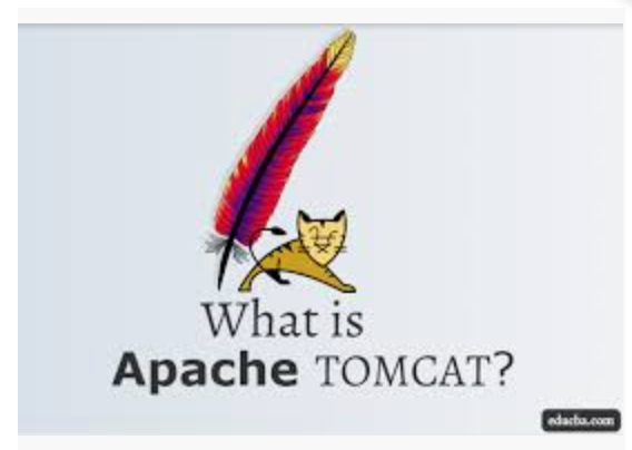 image-20200210105330980