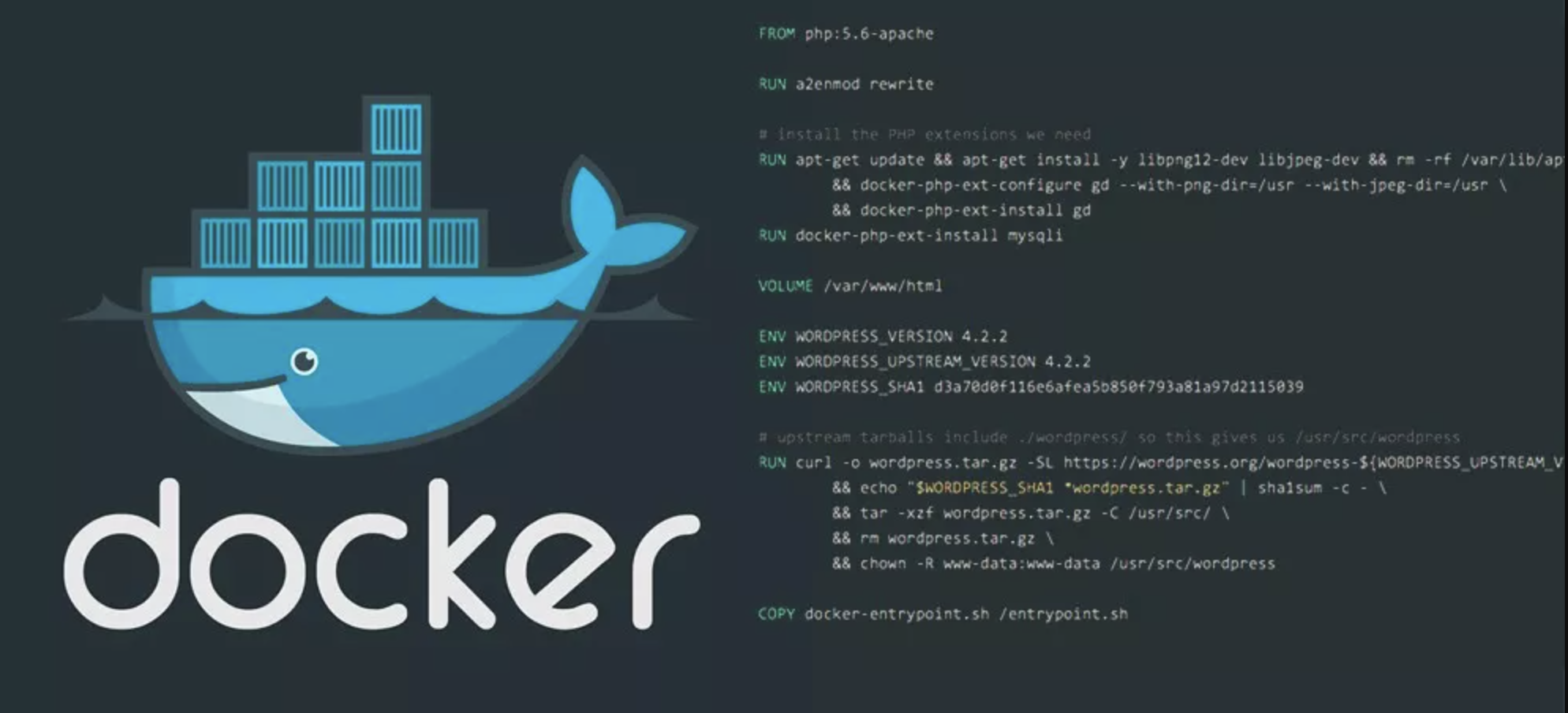 image-20200904144208292