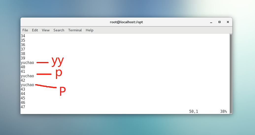 image-20220106161603252