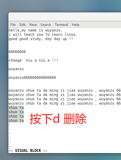 image-20220106183138853