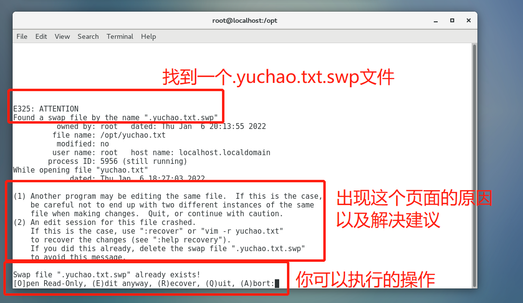 image-20220106201620288