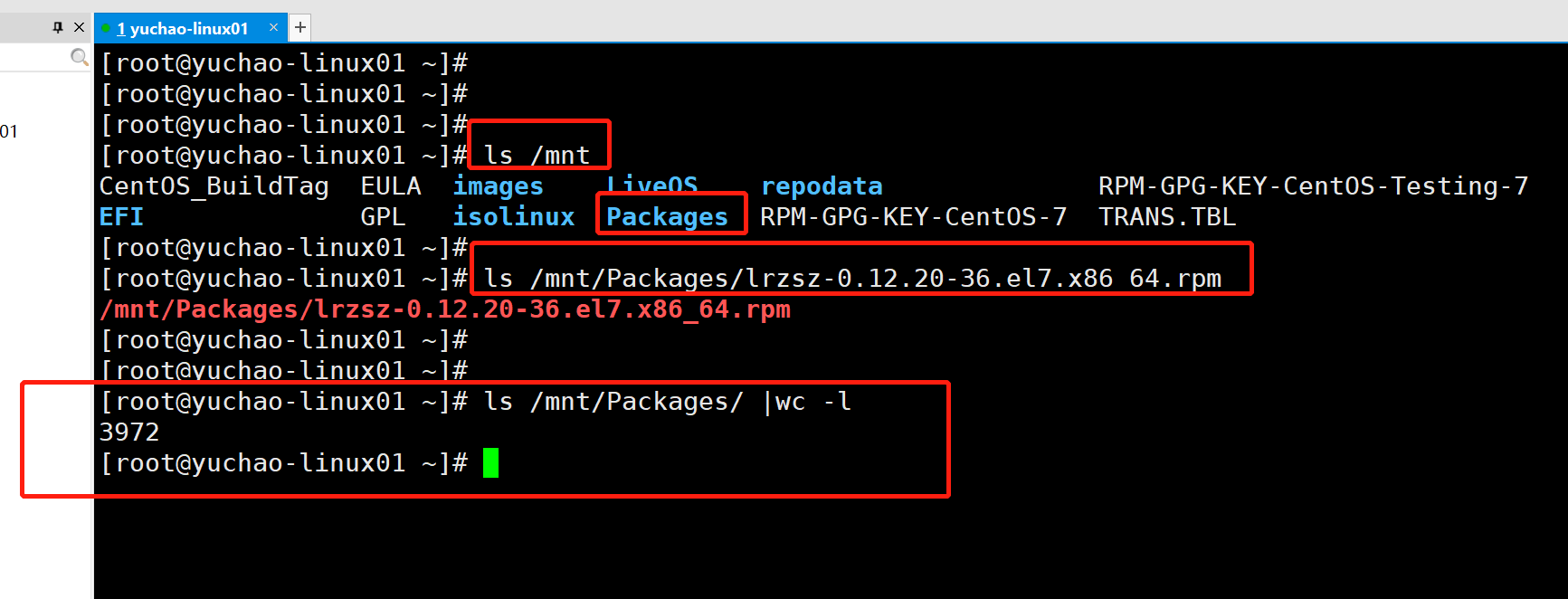 image-20220117140431584