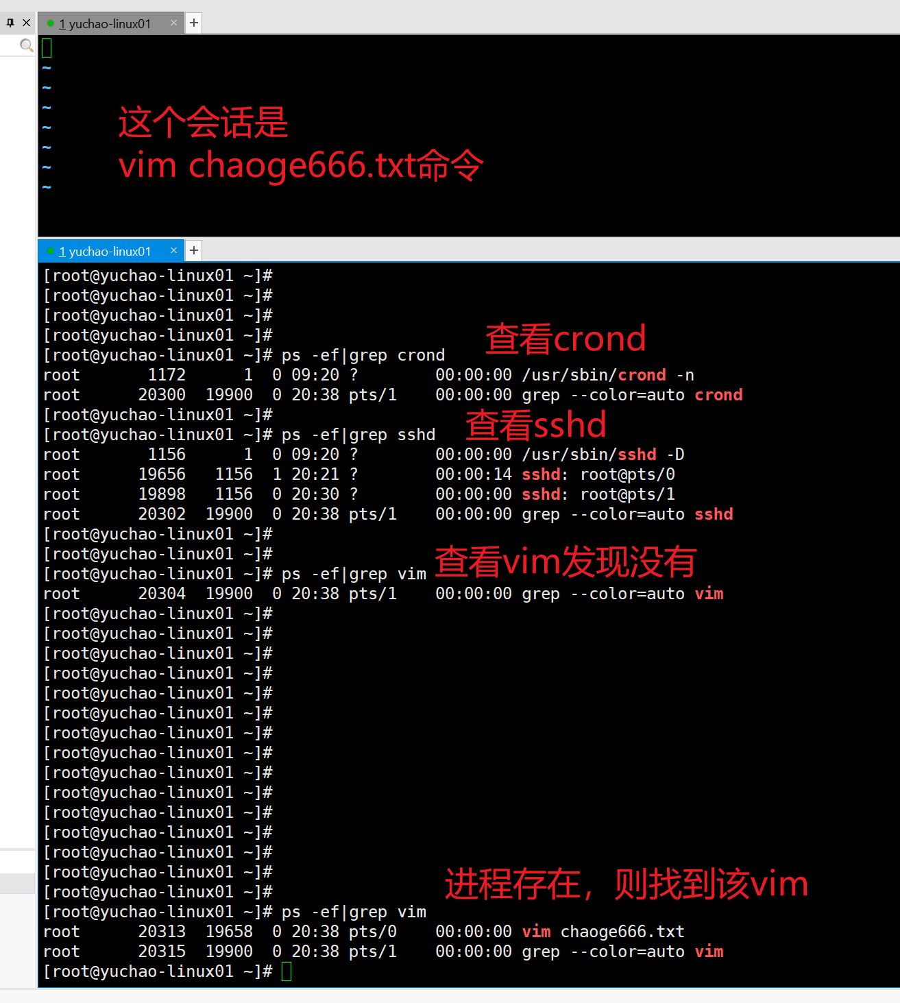 image-20220117203919791