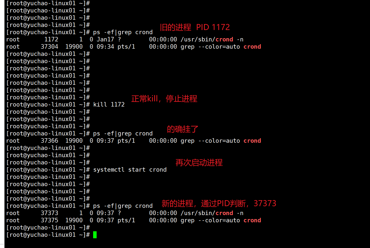 image-20220118093820655