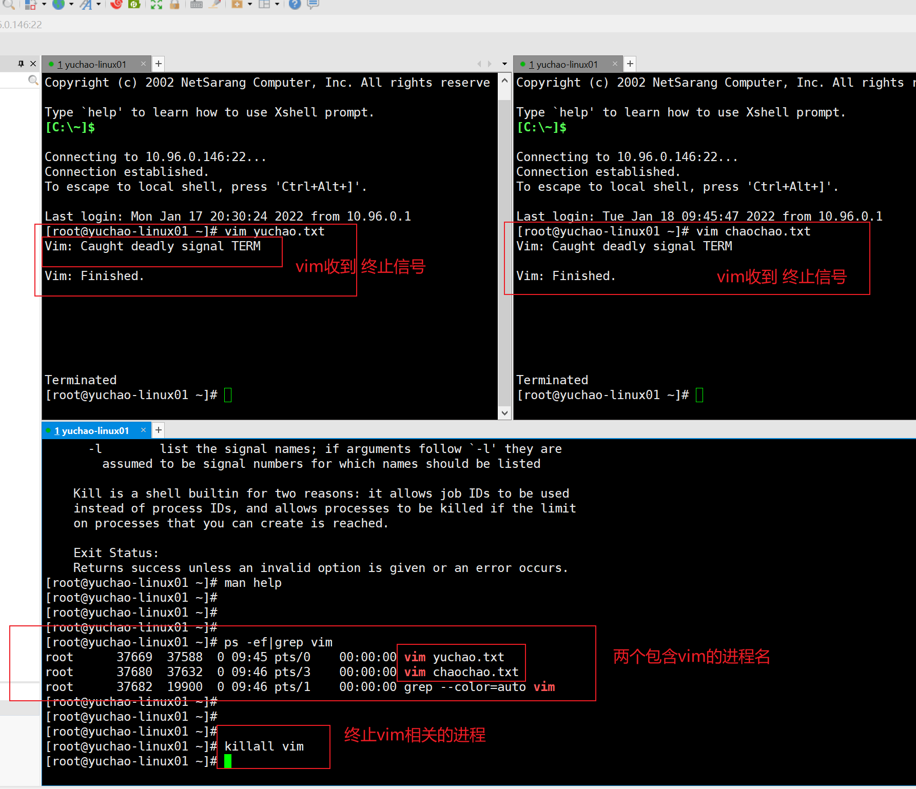 image-20220118094720717