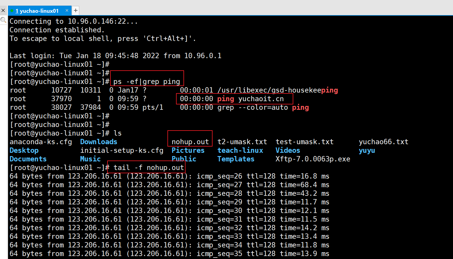image-20220118100125477