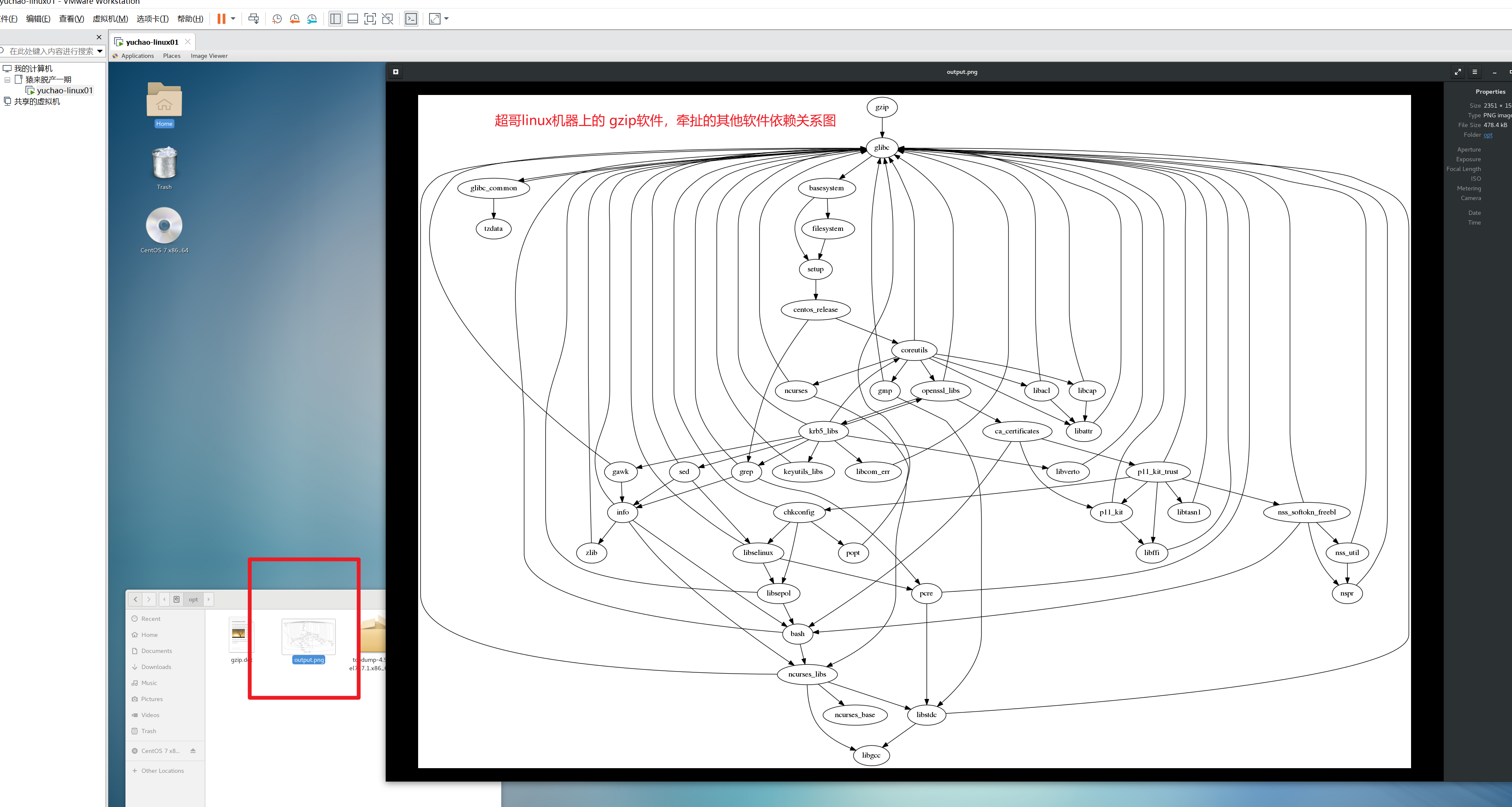 image-20220118145652366