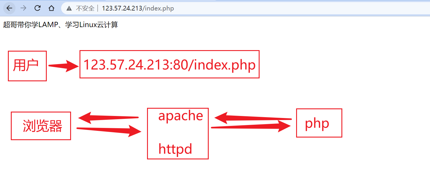 image-20220118202923506