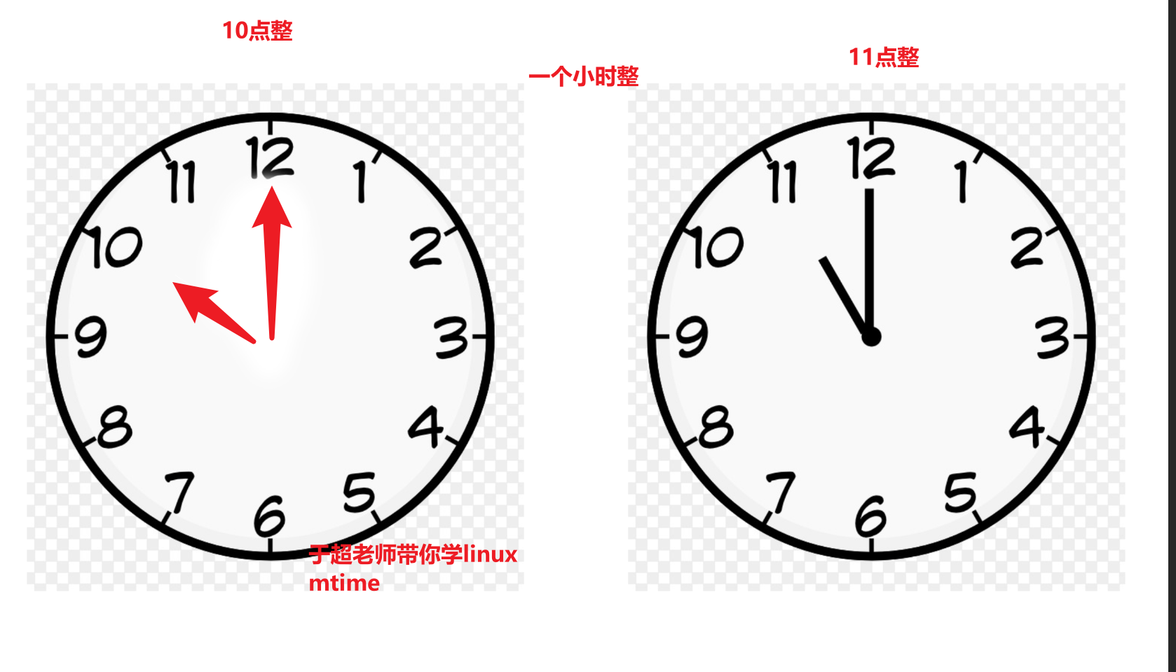 image-20220126163933046