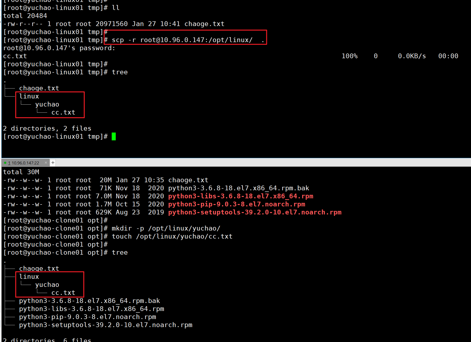 image-20220127104244919