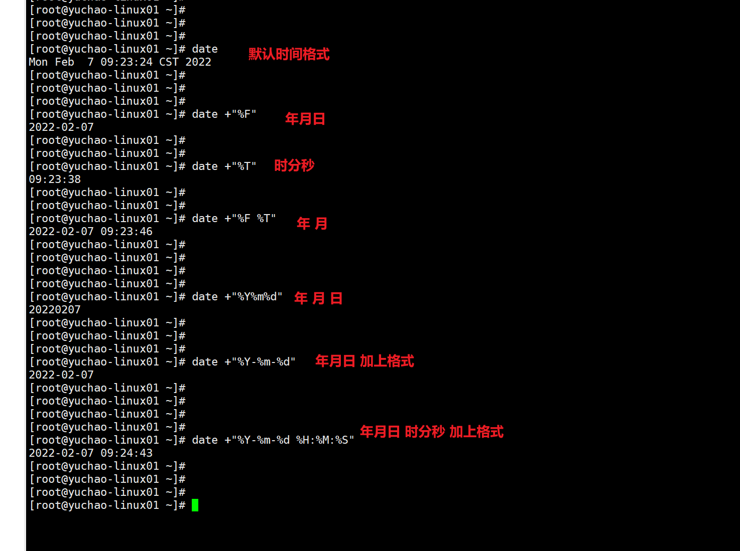 image-20220207092613355