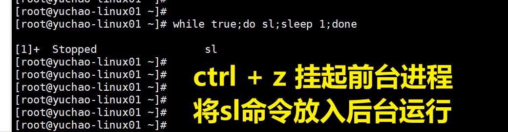 image-20220207110613261