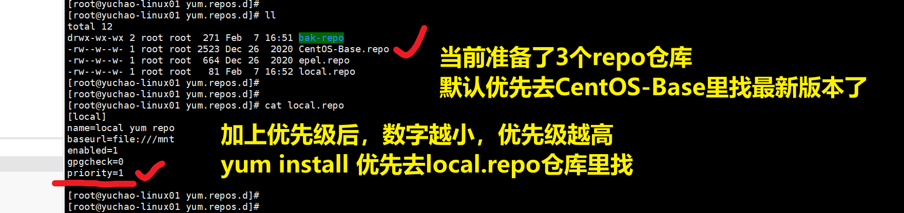 image-20220207165420819