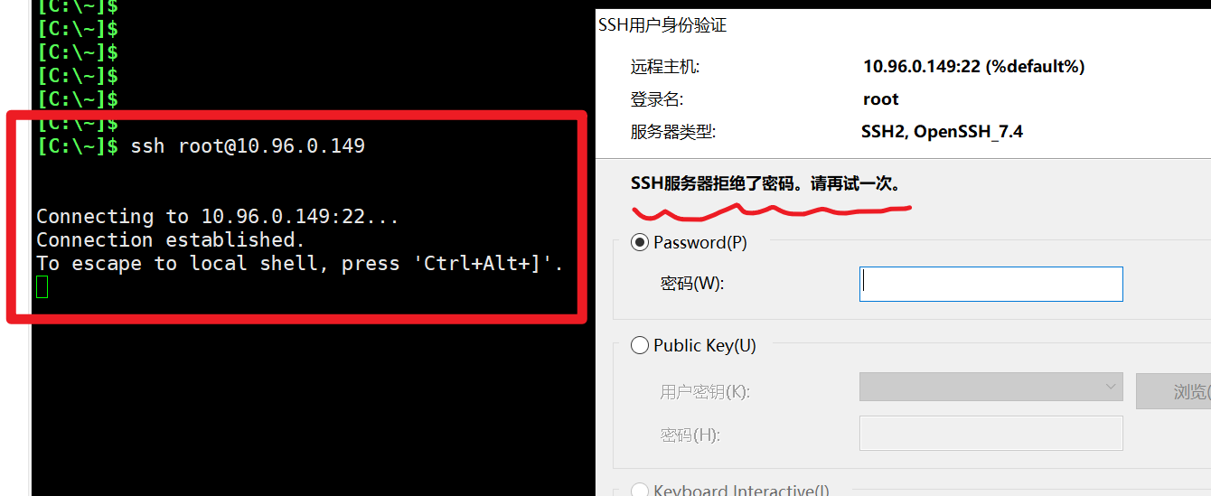 image-20220210173506811