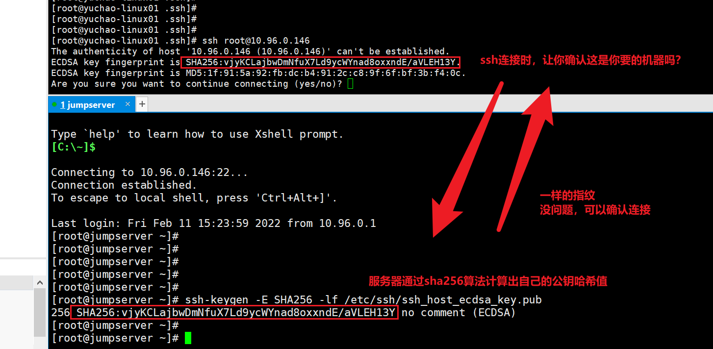 image-20220211173308045