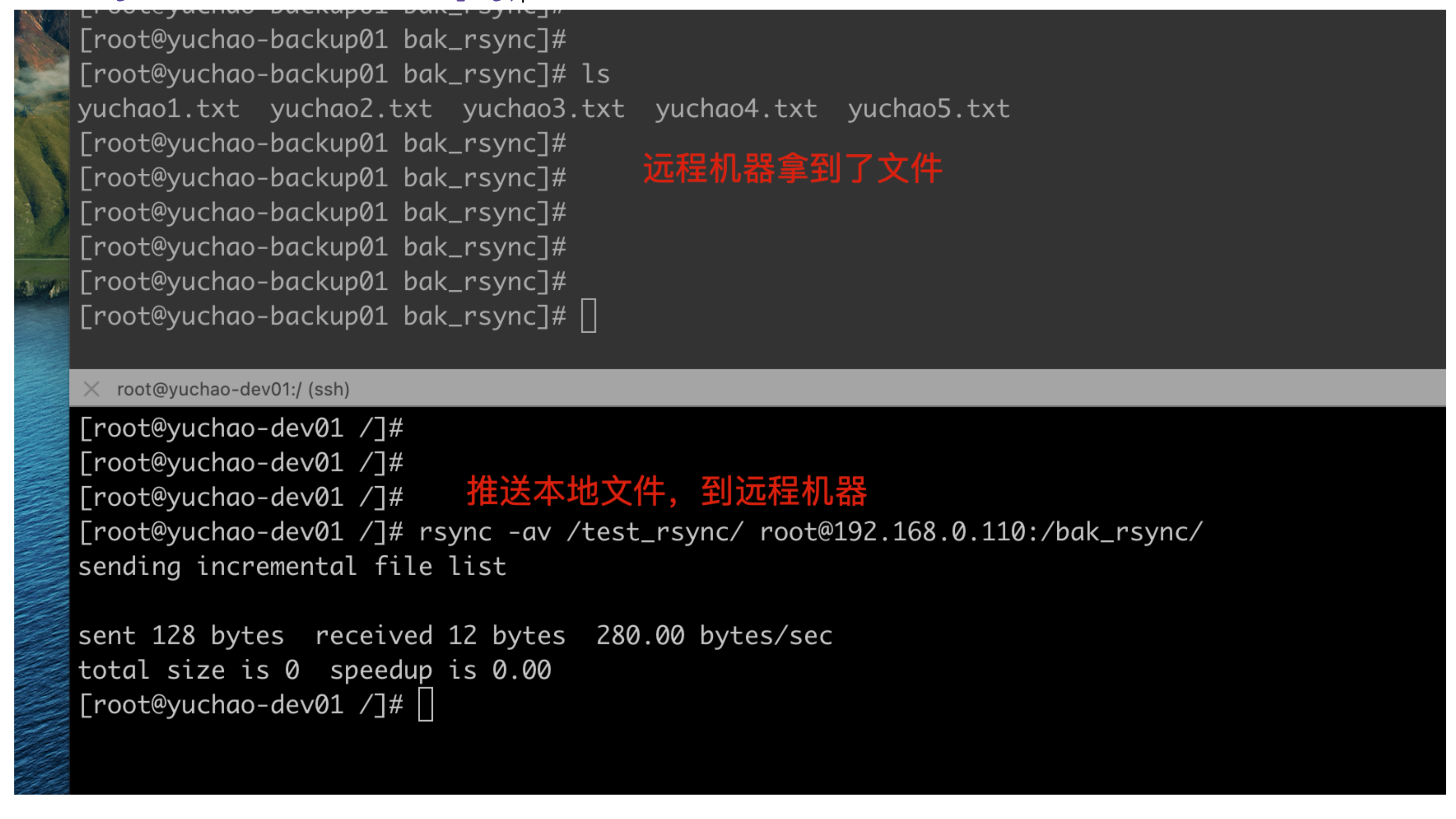 image-20220215181716824