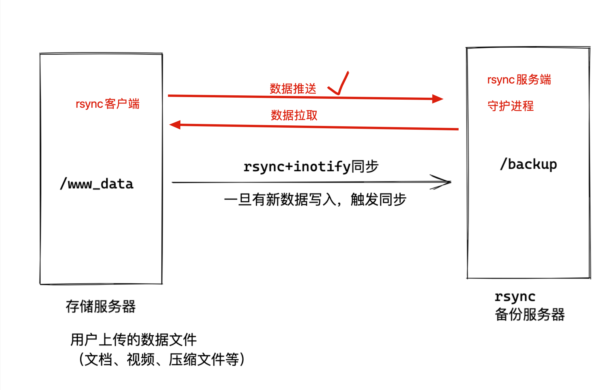 image-20220216102658896