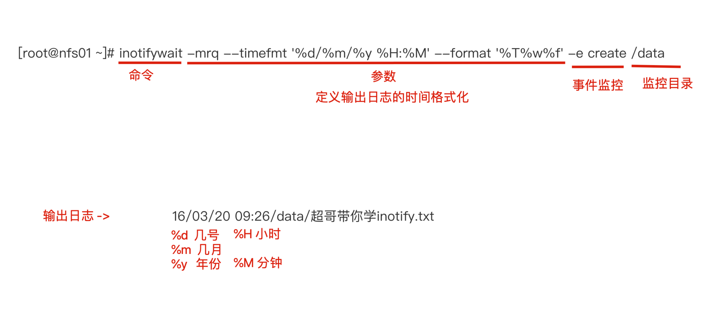 image-20220216135707350