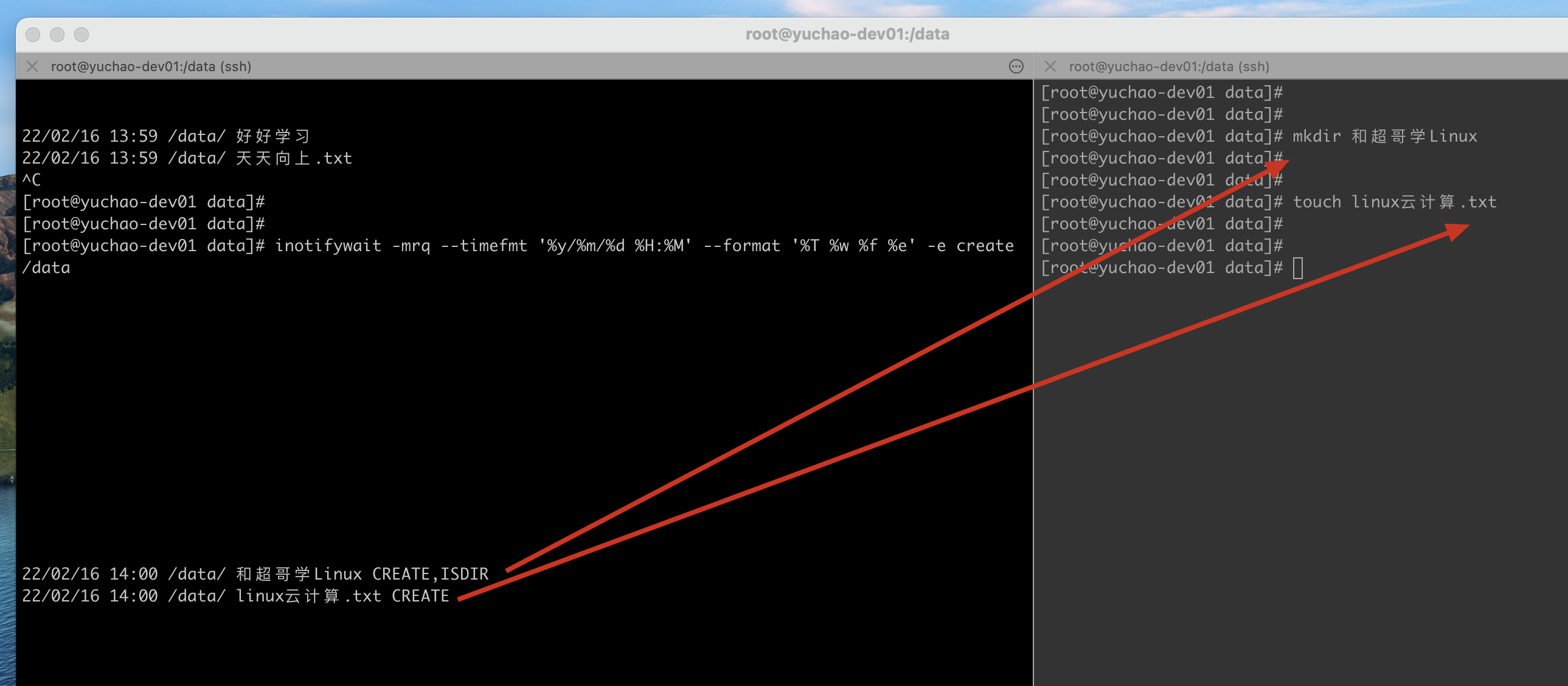 image-20220216140111119
