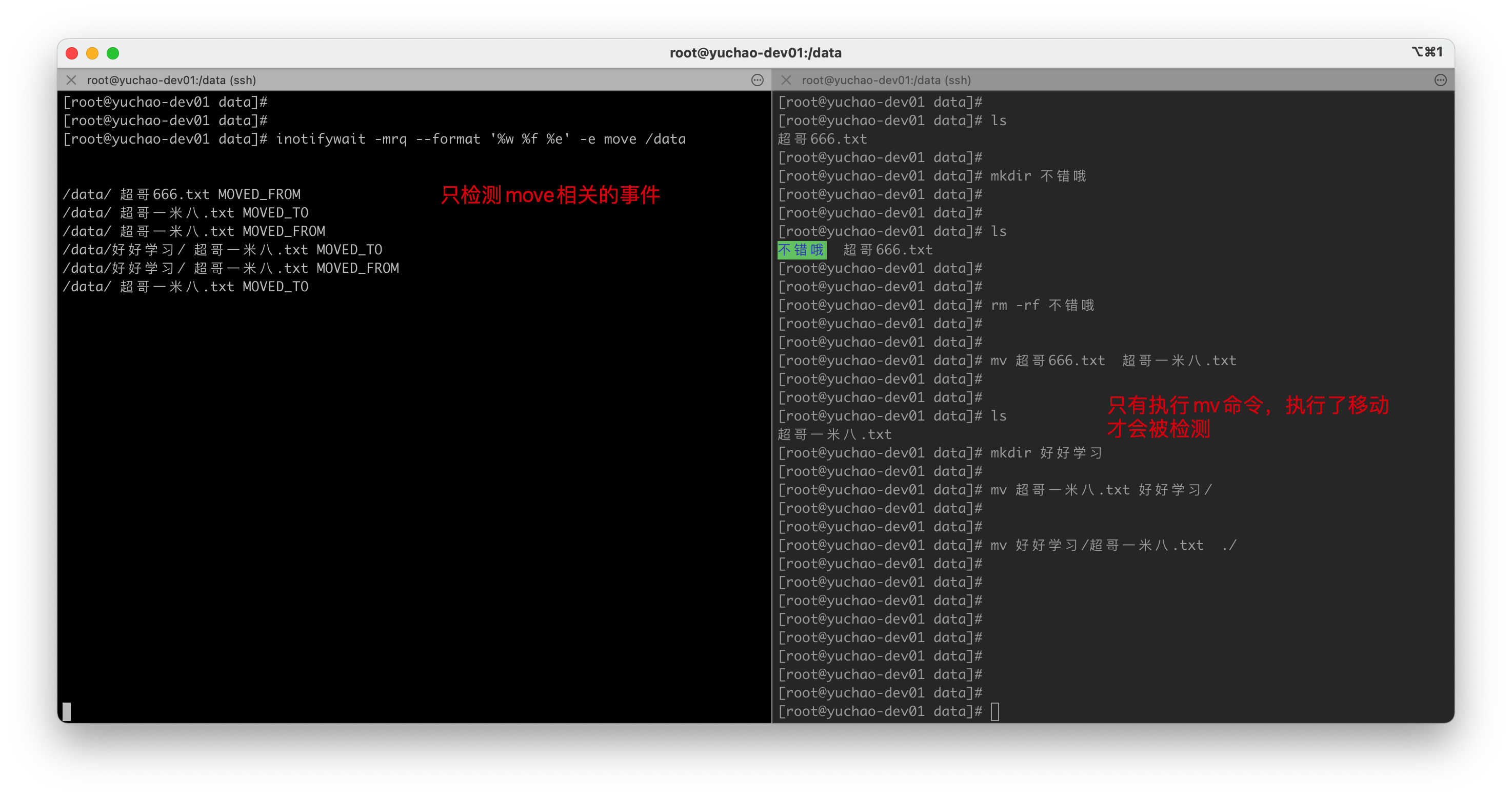 image-20220216141029384