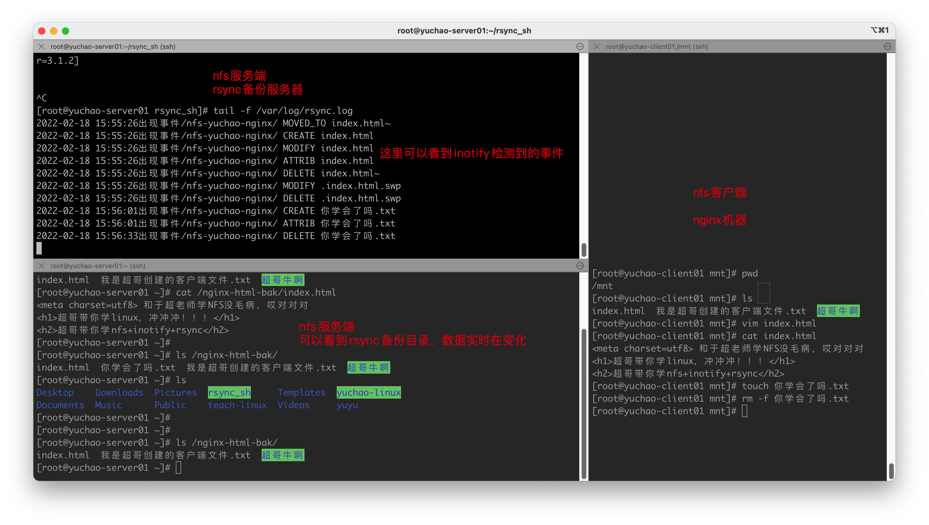 image-20220218155836587