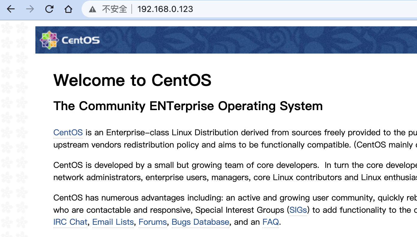 image-20220218172007949