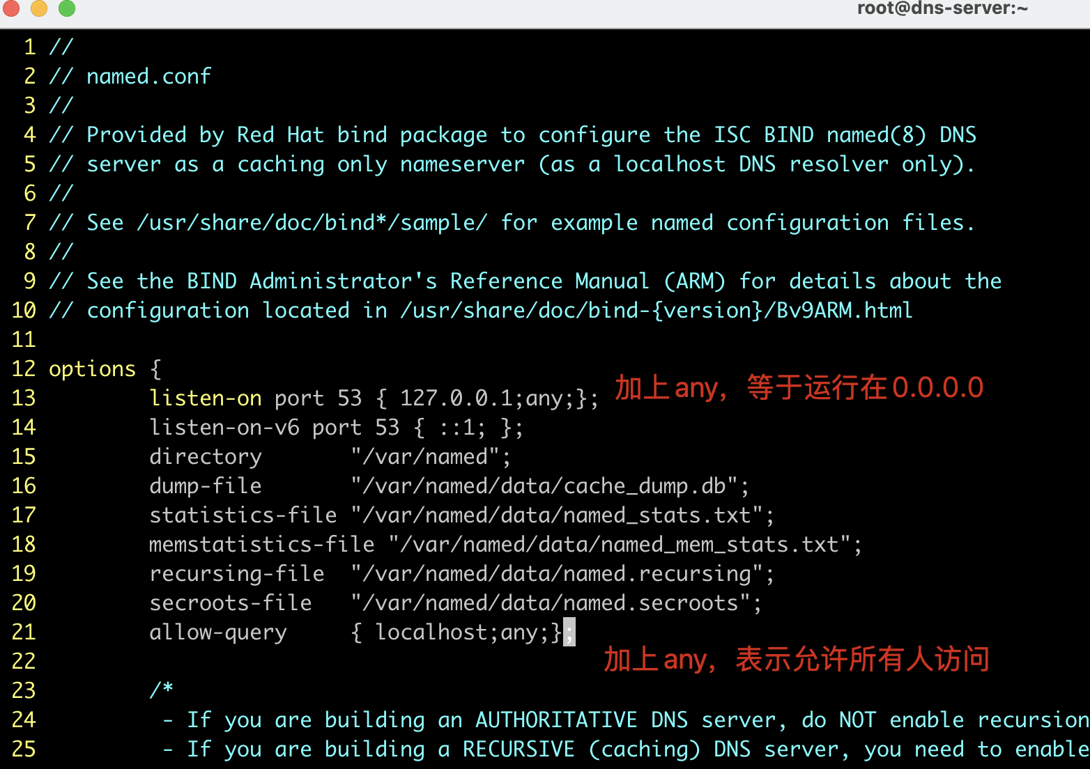 image-20220219170535947