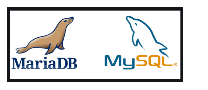 image-20220225172904822