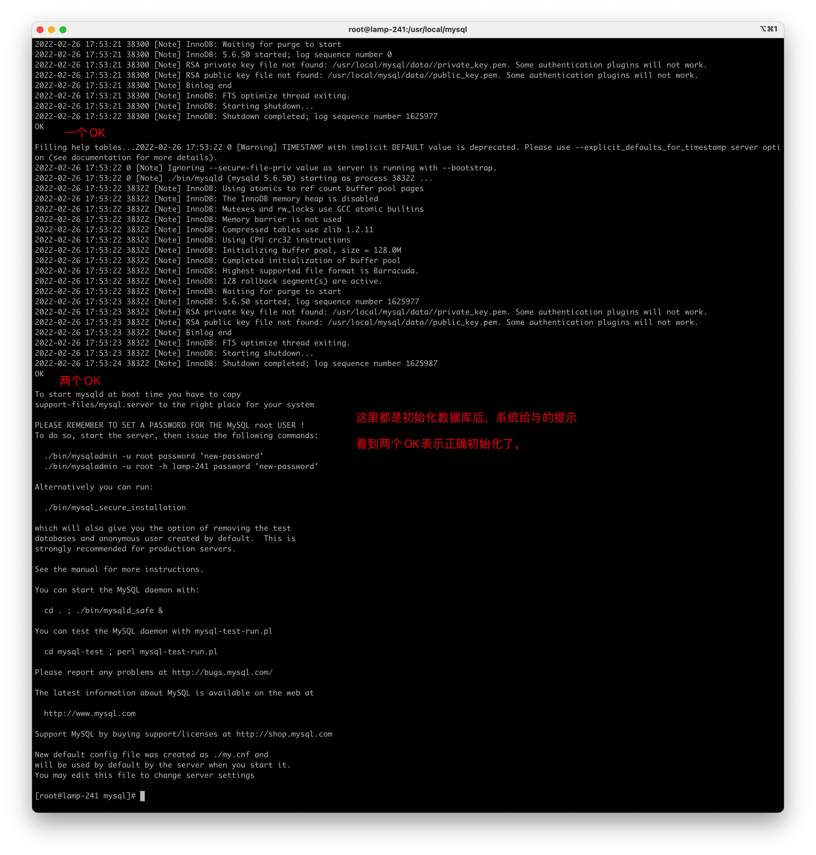 image-20220226175435367