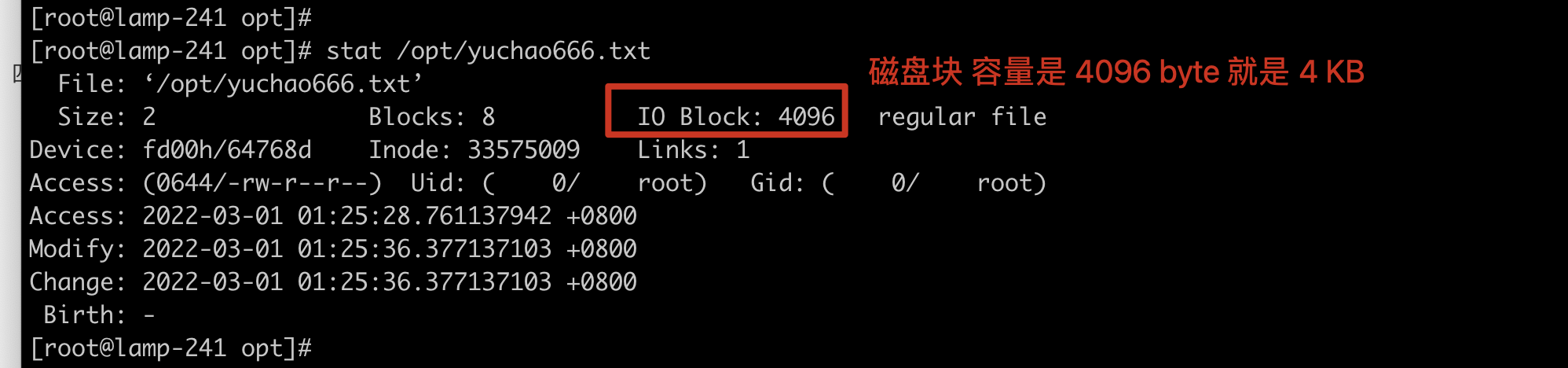 image-20220228180347131