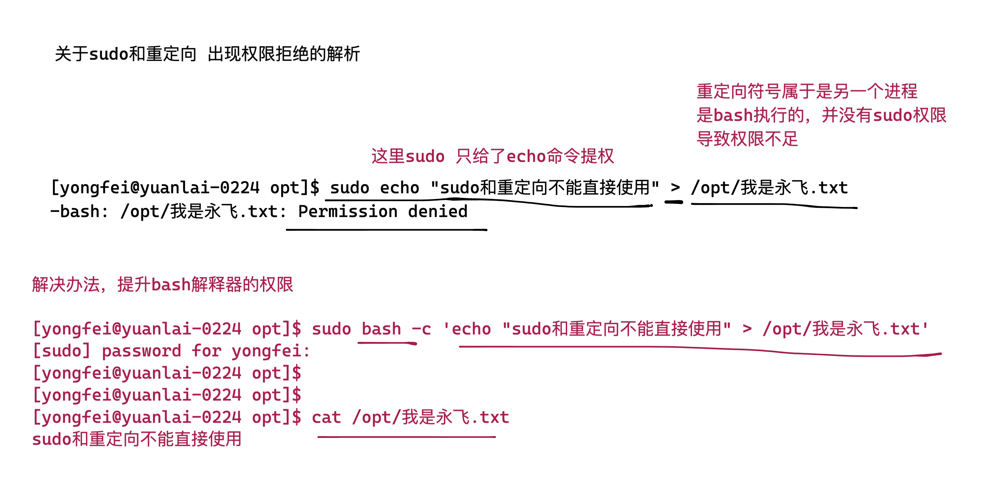 image-20220311175516910