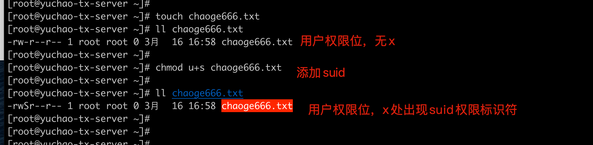 image-20220316165940150