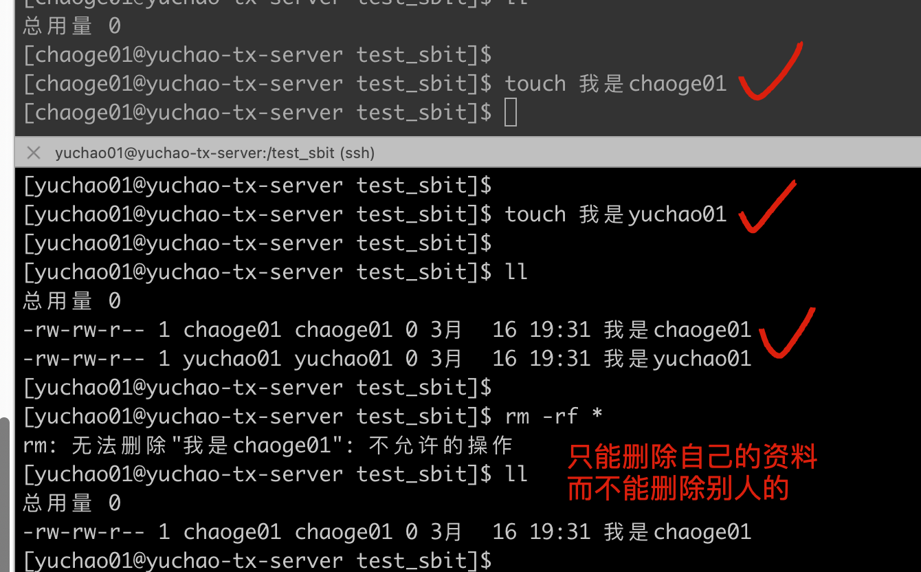 image-20220316193206458