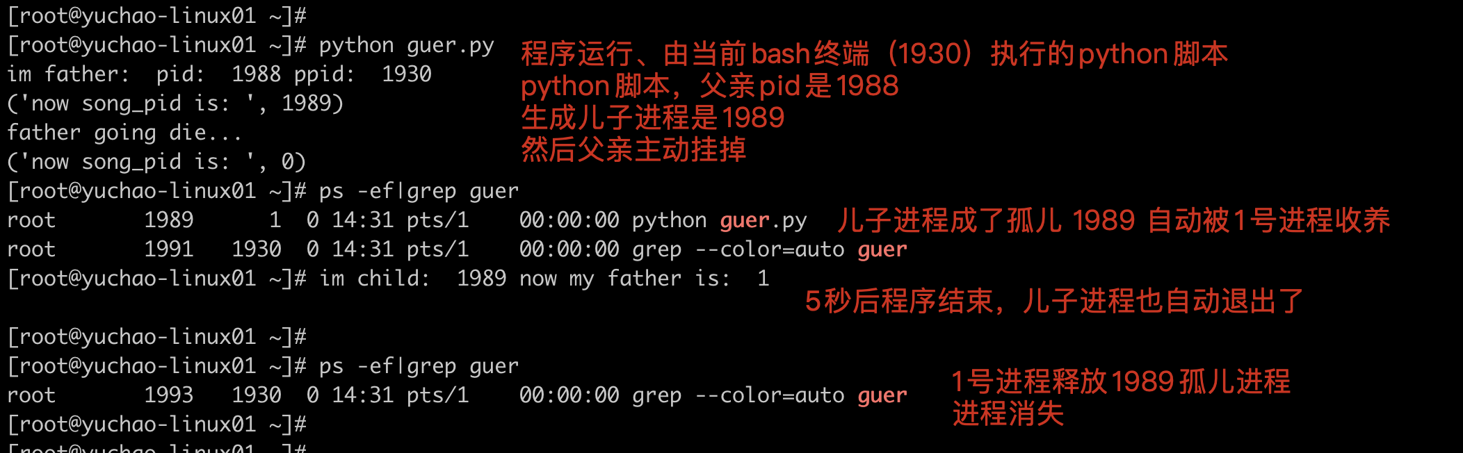 image-20220320143435480