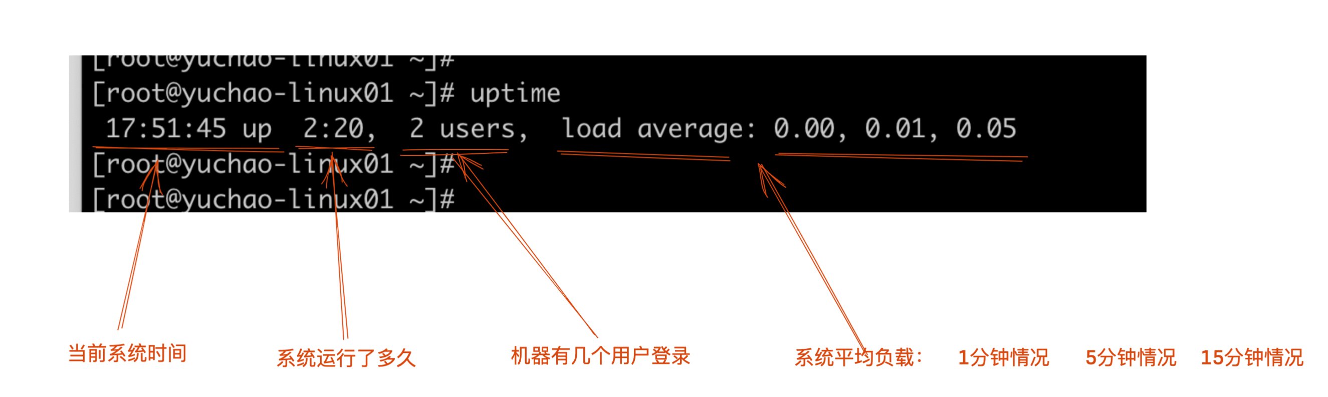 image-20220322175336060