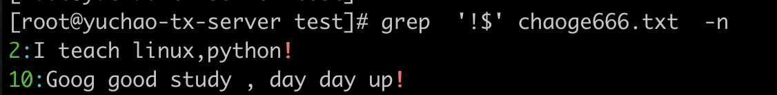 image-20220403205515698