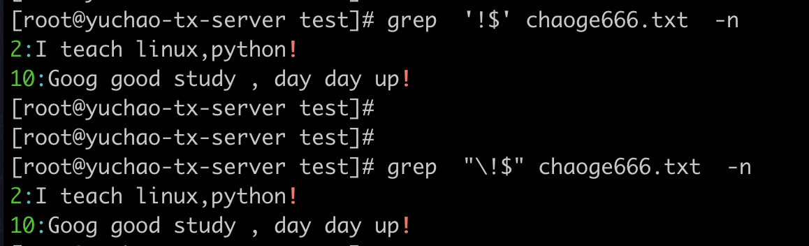 image-20220403205626292