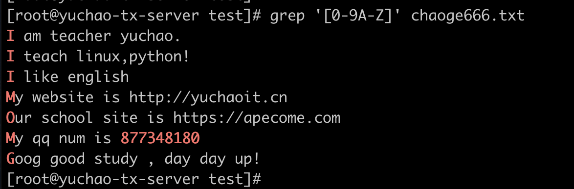 image-20220404195920656