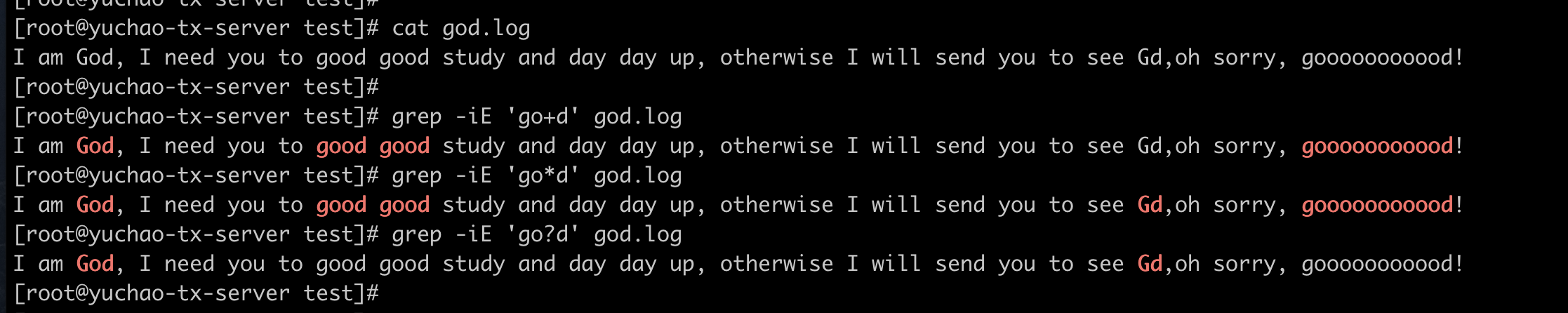 image-20220405132551007