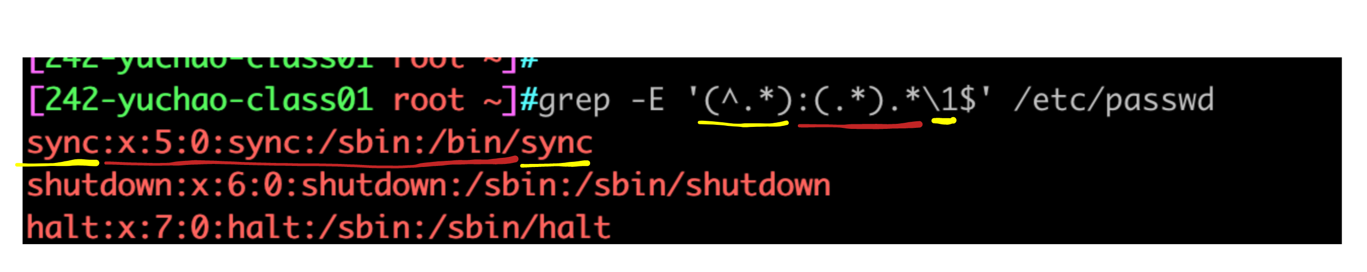 image-20220411163812863