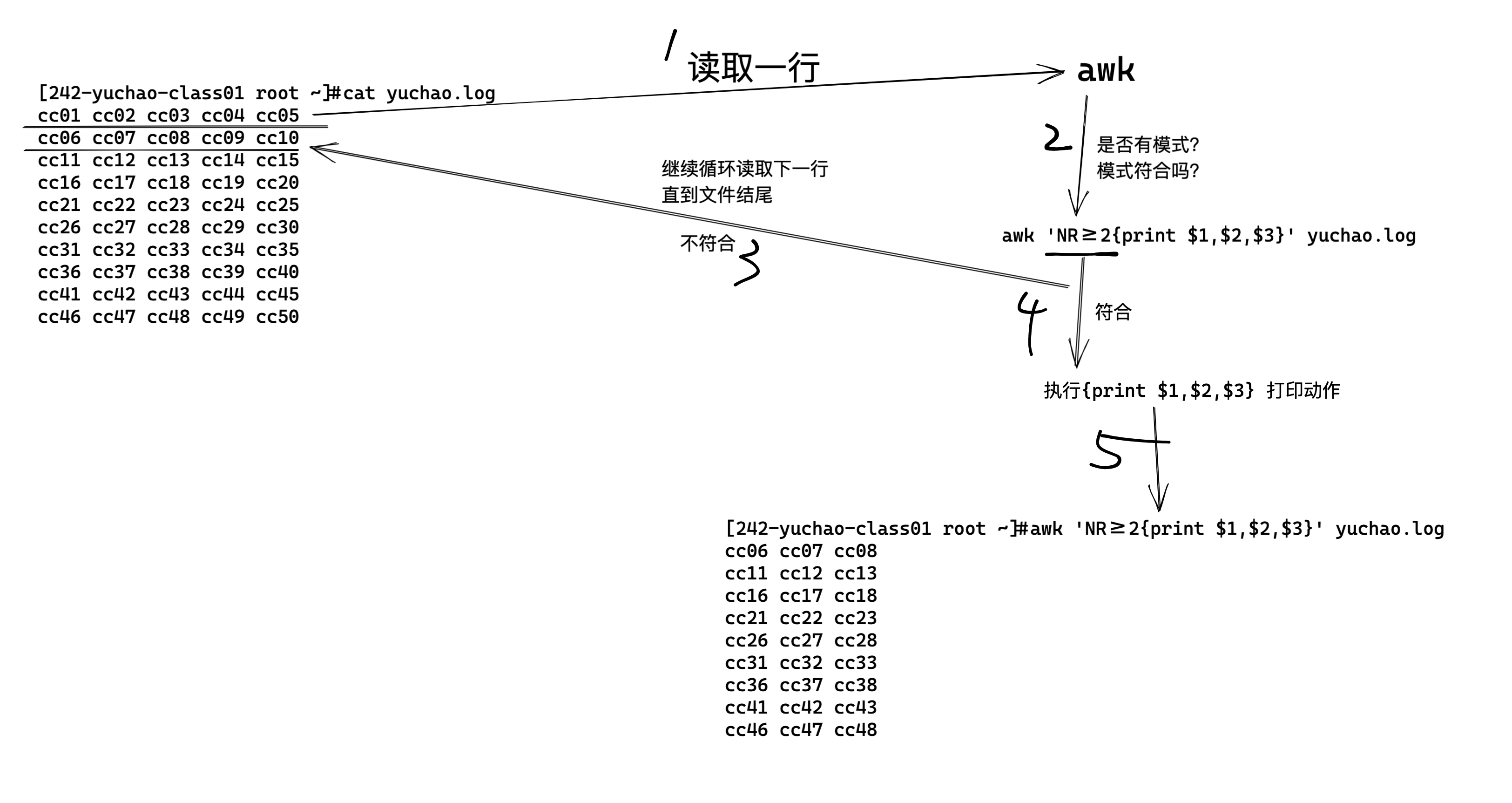 image-20220411182256597