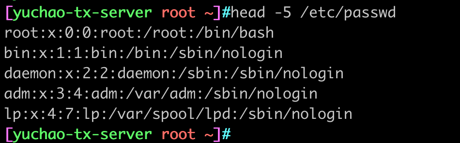 image-20220411221932658