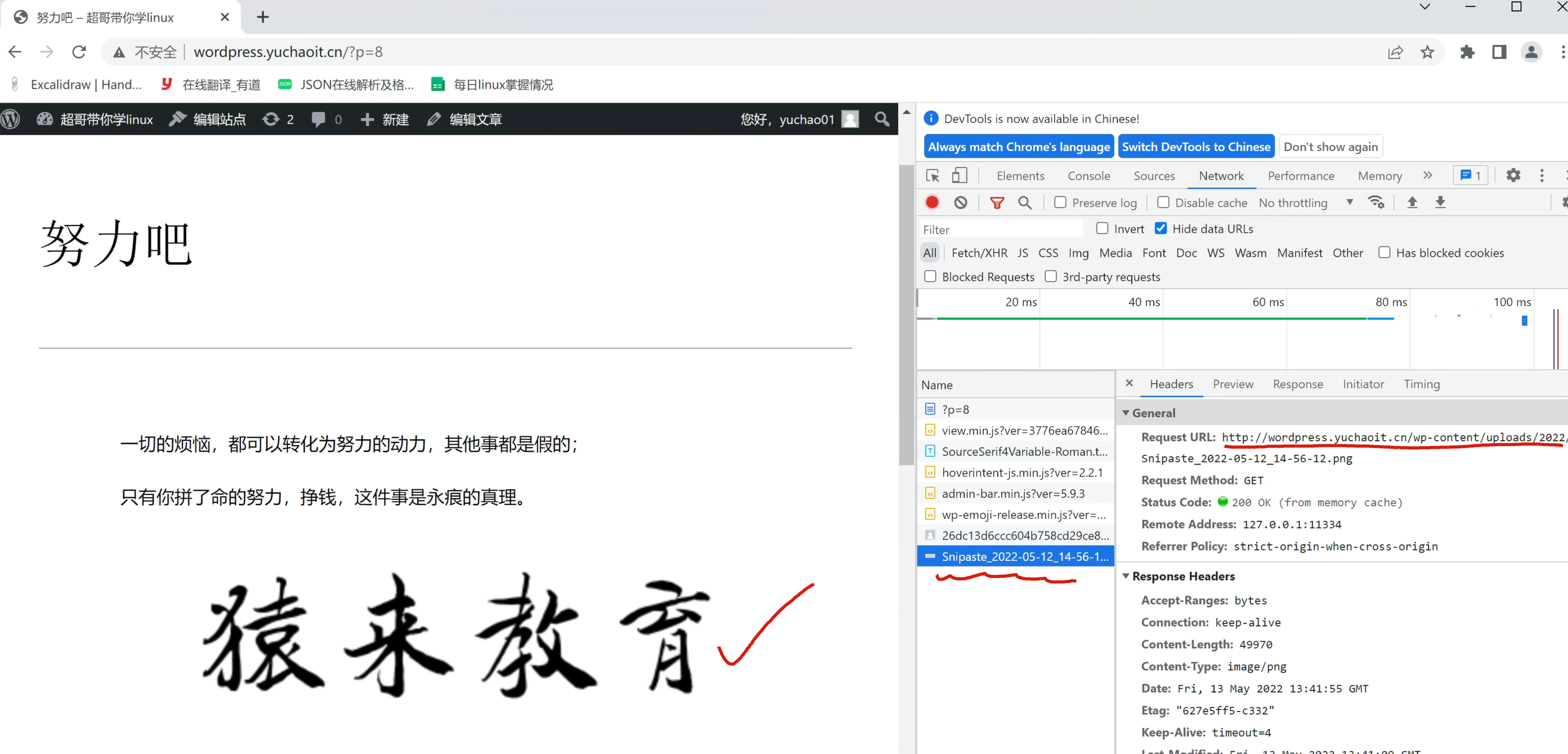 image-20220513214226339