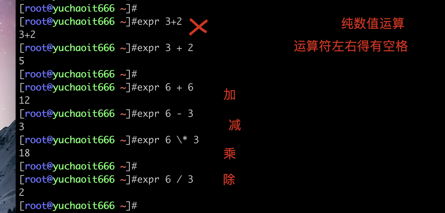 image-20220616112403310