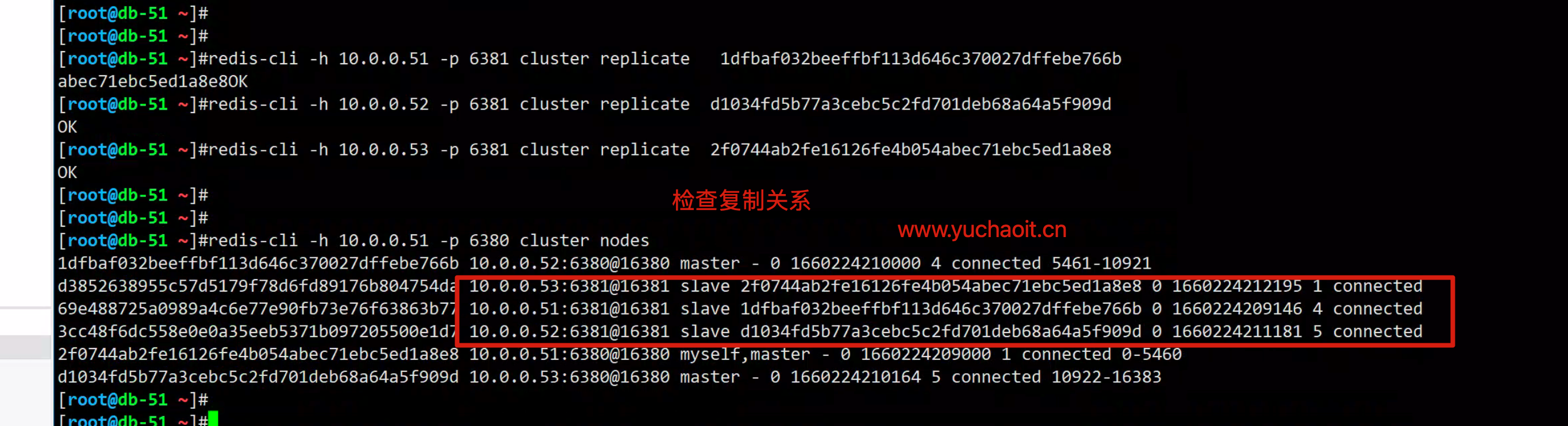 image-20220811212408062