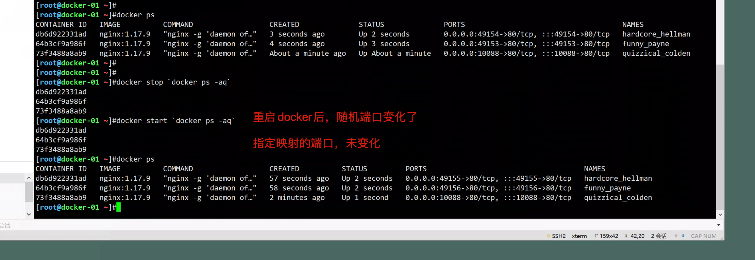 image-20220822152635824