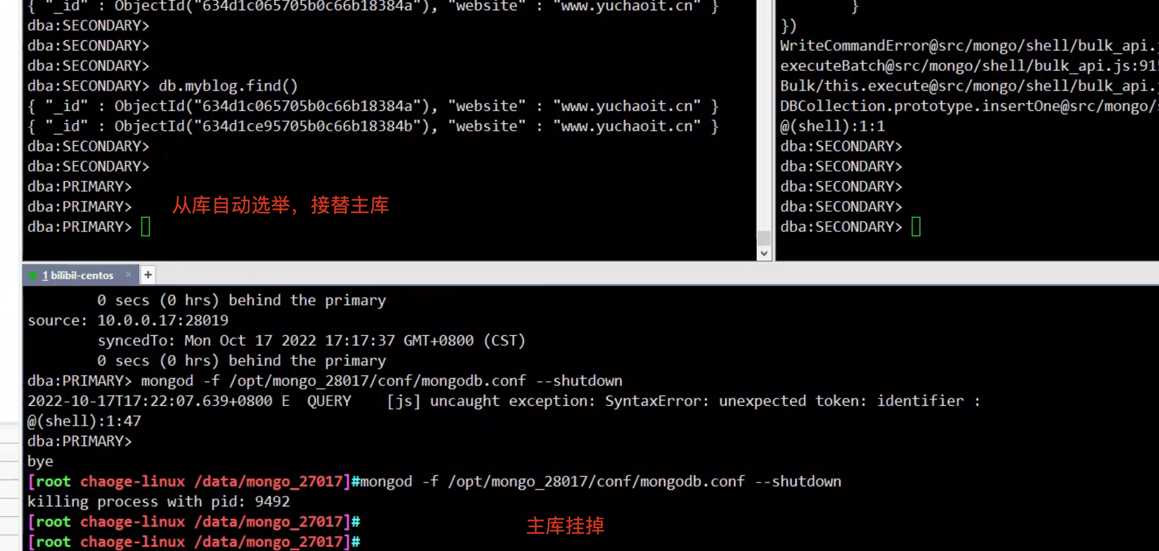 image-20221017172240152