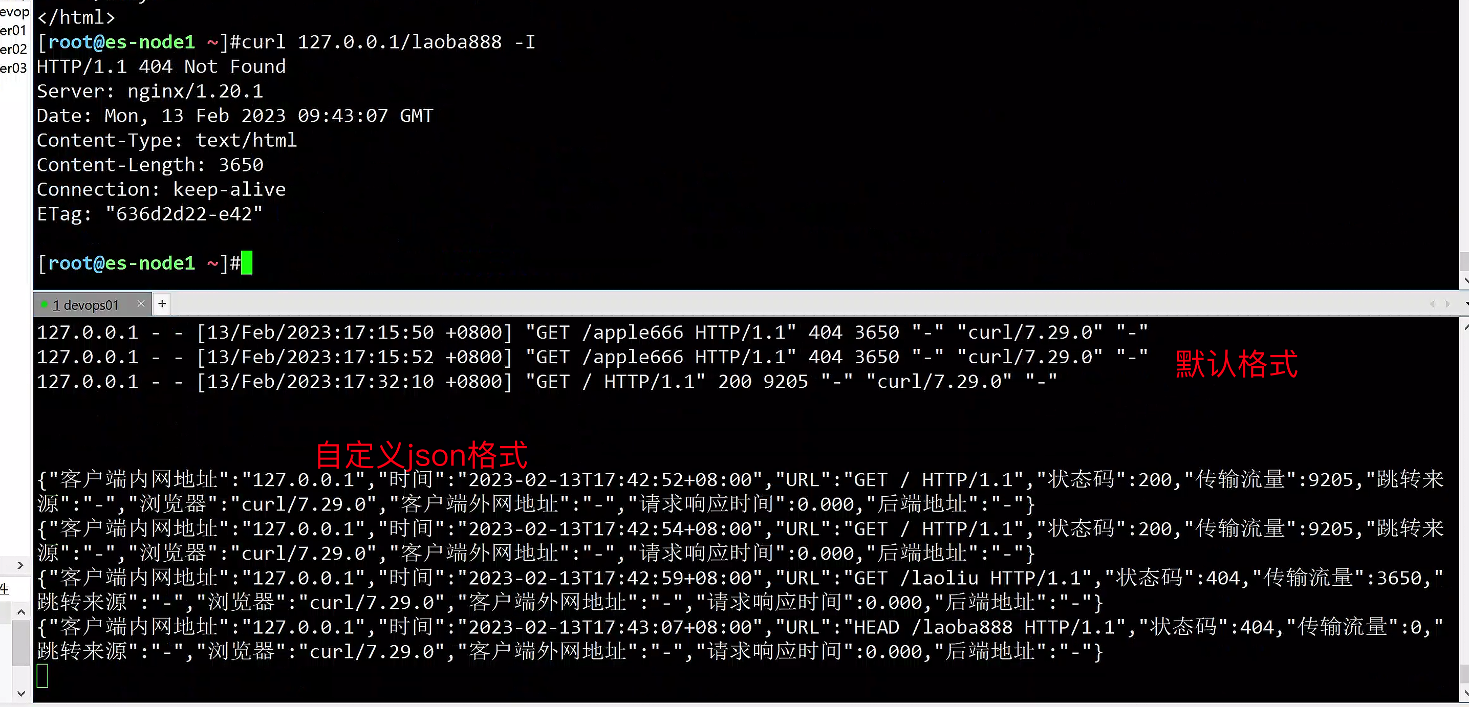 image-20230213174323147